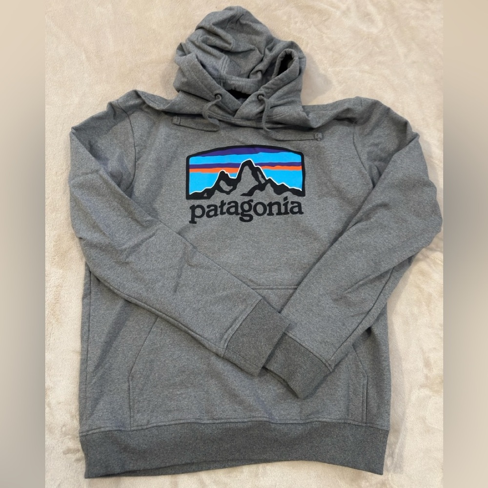 Patagonia Gray Hoodie